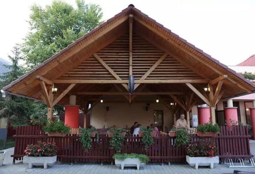 ペンション Tömörkény Vendégház