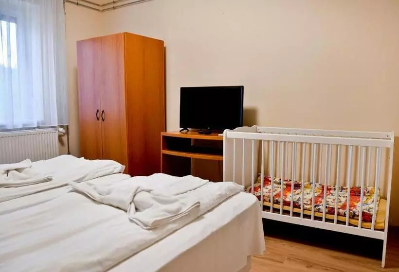 ペンション Tömörkény Vendégház