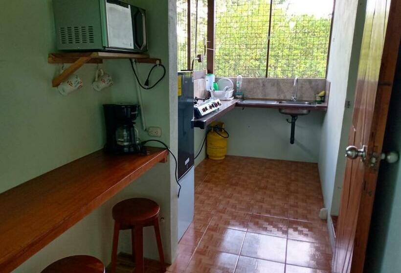 ユースホステル Posada Rural Río Celeste