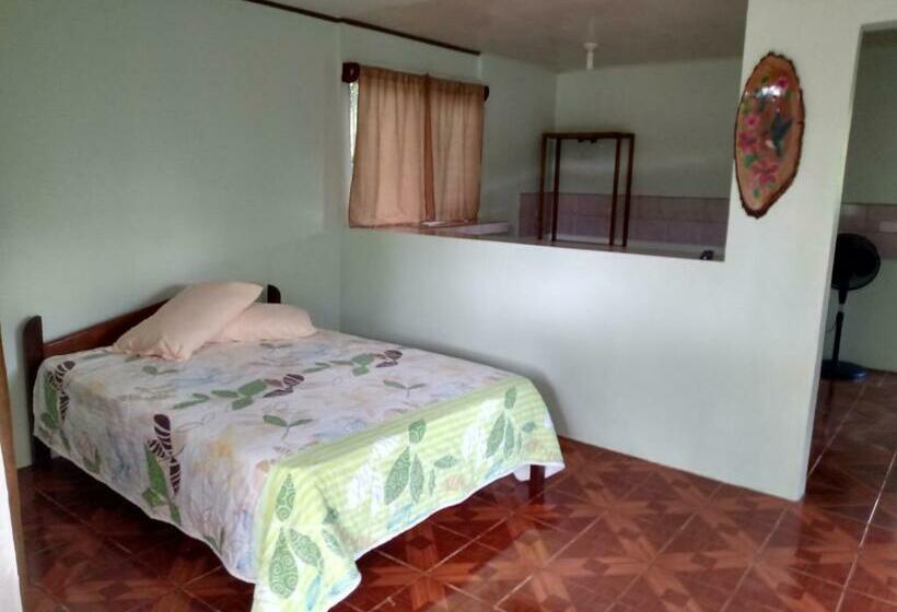 ユースホステル Posada Rural Río Celeste