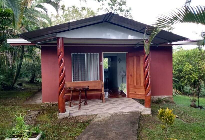 ユースホステル Posada Rural Río Celeste