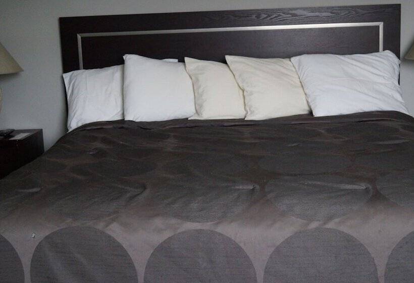 Общежитие Riverside Inn