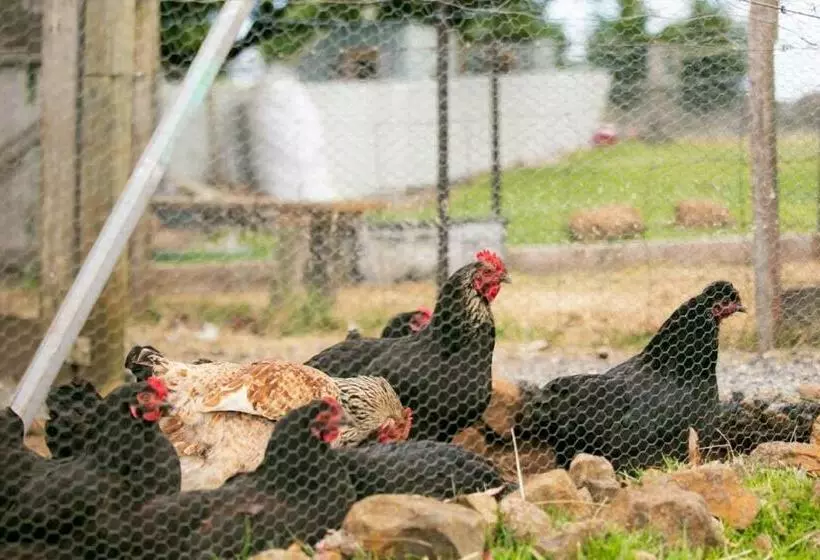 Aamiaismajoitus (B&B) 3 Hills At The Good Place