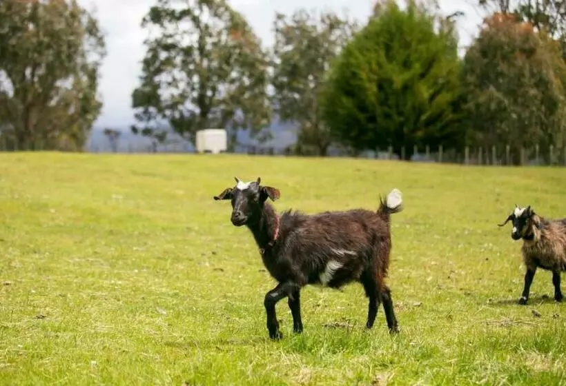 Aamiaismajoitus (B&B) 3 Hills At The Good Place