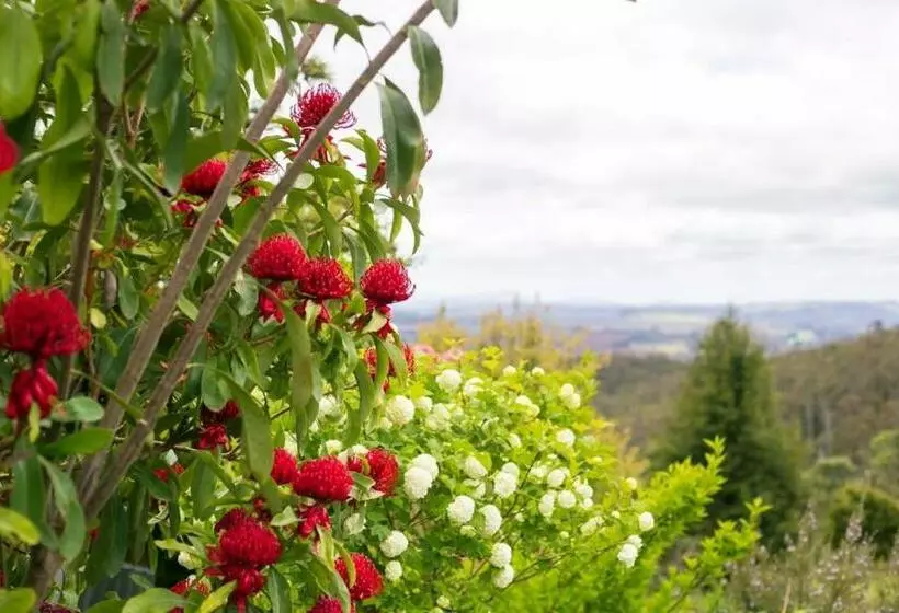 Aamiaismajoitus (B&B) 3 Hills At The Good Place