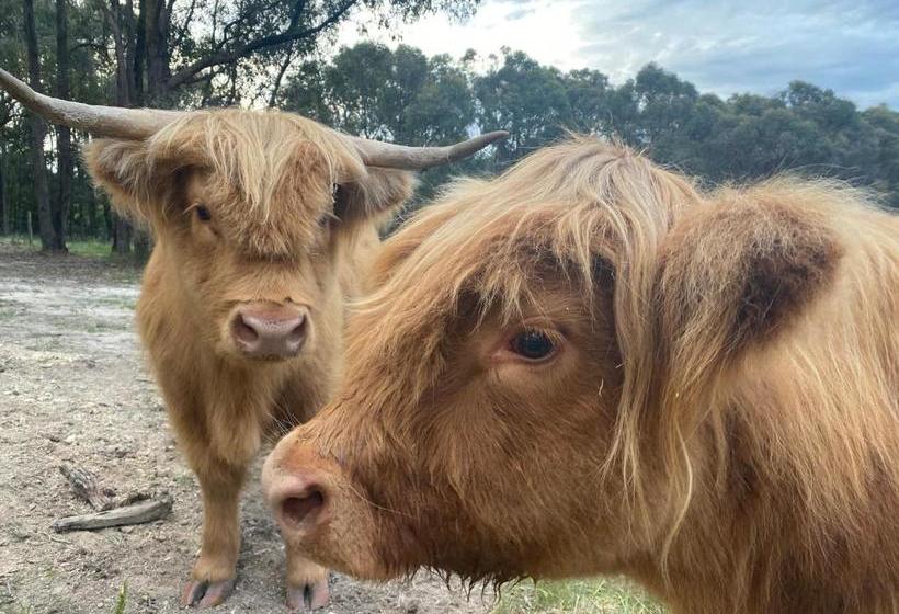 민박 Cockatoo Cottages