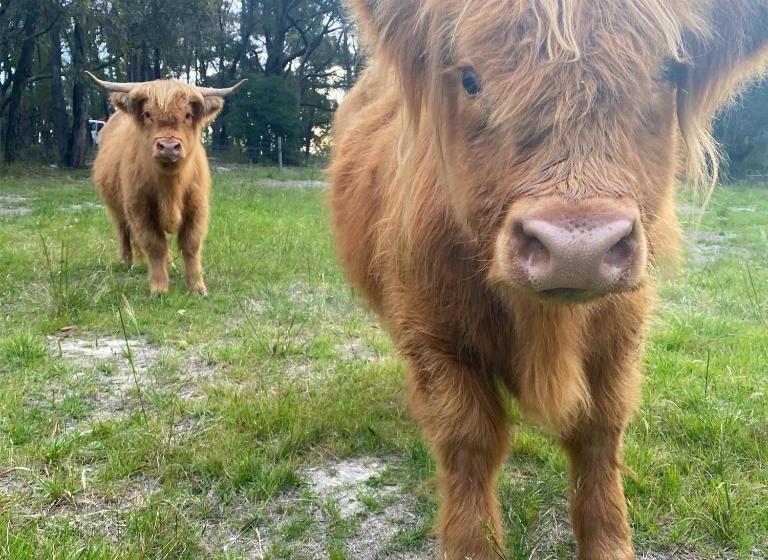 민박 Cockatoo Cottages