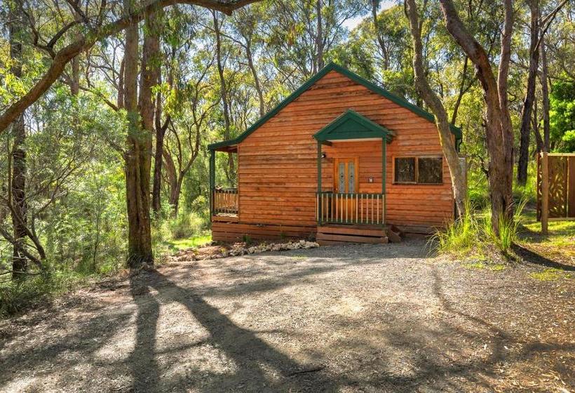 민박 Cockatoo Cottages