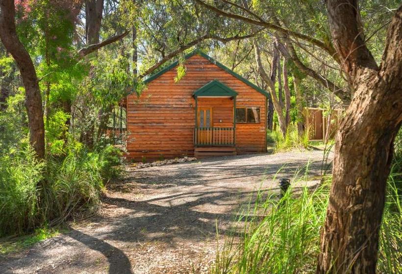 민박 Cockatoo Cottages