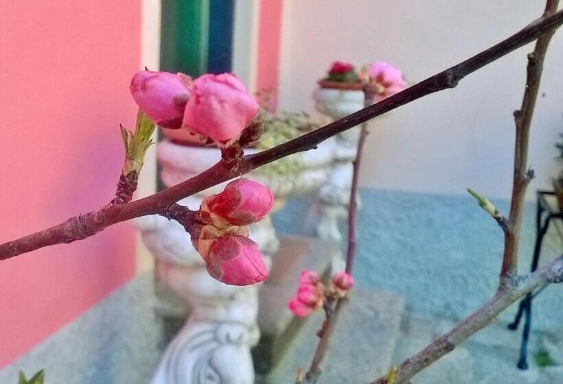 住宿加早餐  Crocevia Del Sale