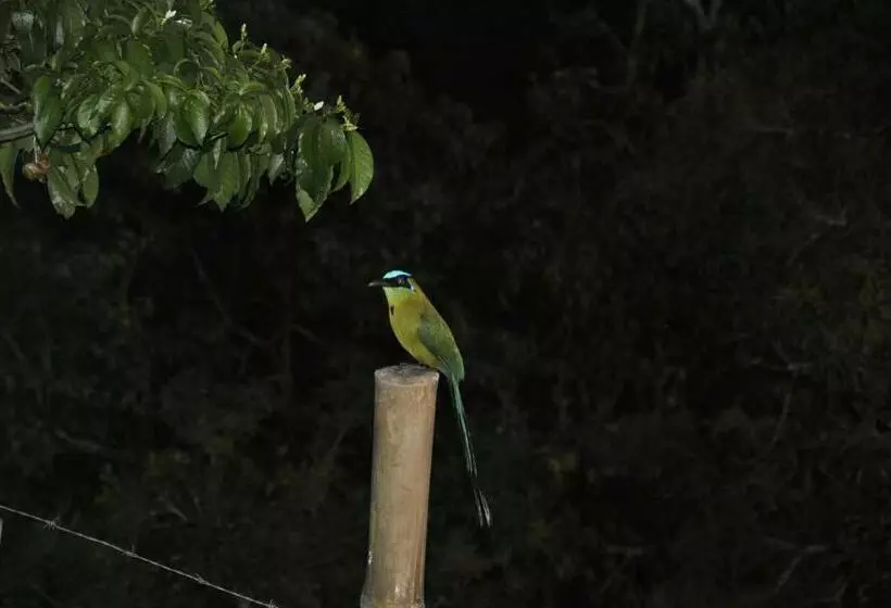 Aamiaismajoitus (B&B) Finca Cafe Bernal