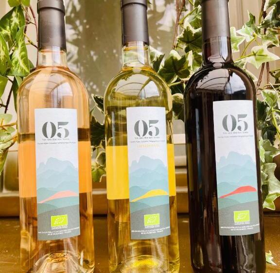 בית מלון כפרי Auberge De Barret Sur Meouge