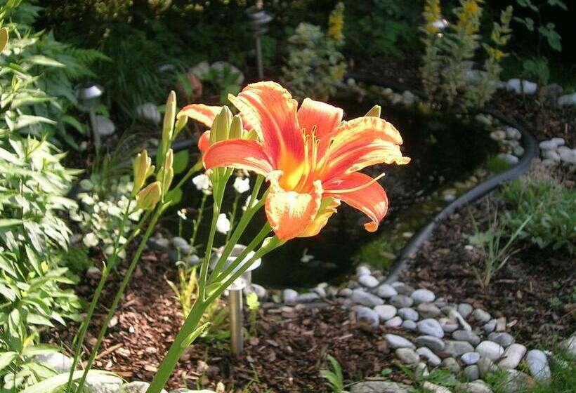 호텔 Gasthof Pension Golob