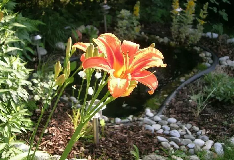 ホテル Gasthof Pension Golob