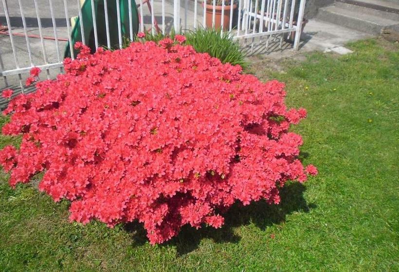 בית מלון כפרי L Ostu Del Povr Om