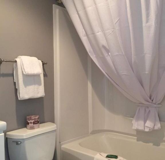 فندق على الطريق Paddock Inn