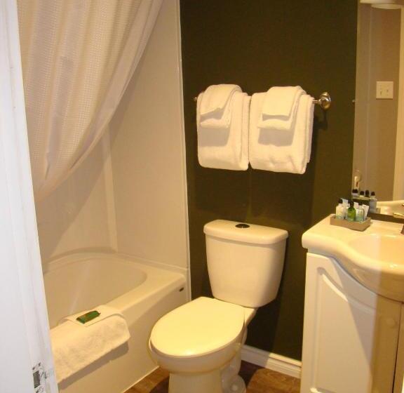 فندق على الطريق Paddock Inn