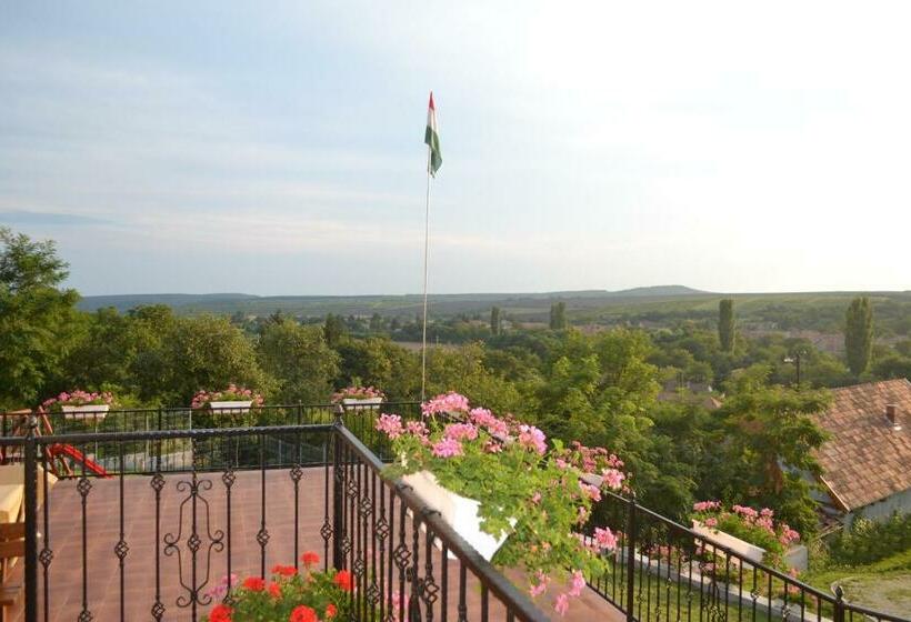 Pensjonat Berezdtető Vendégház