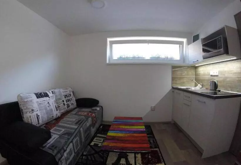 ペンション Penzion U Hada