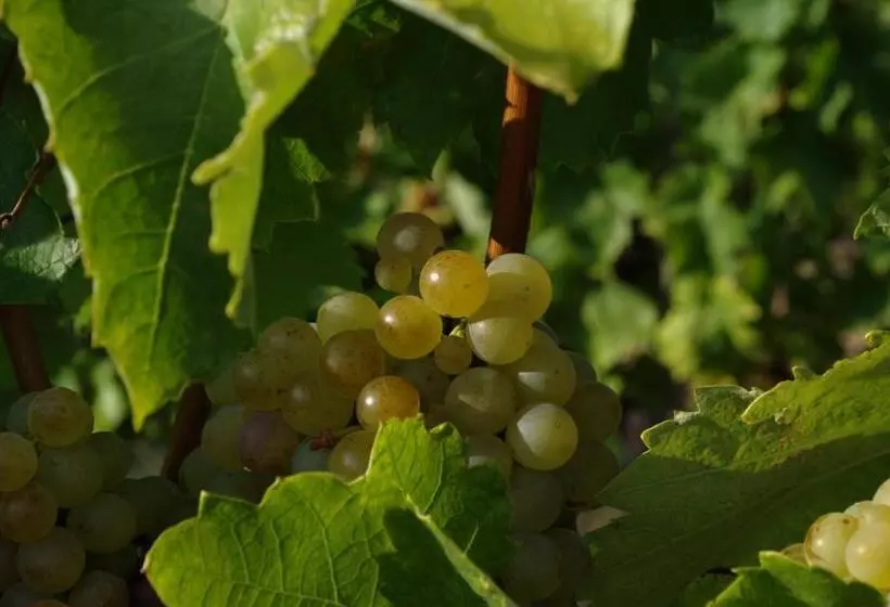 Majatalo R40 Vendégház