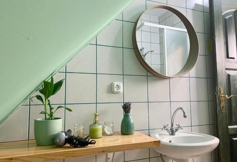 Пансион Vazul Vendégház