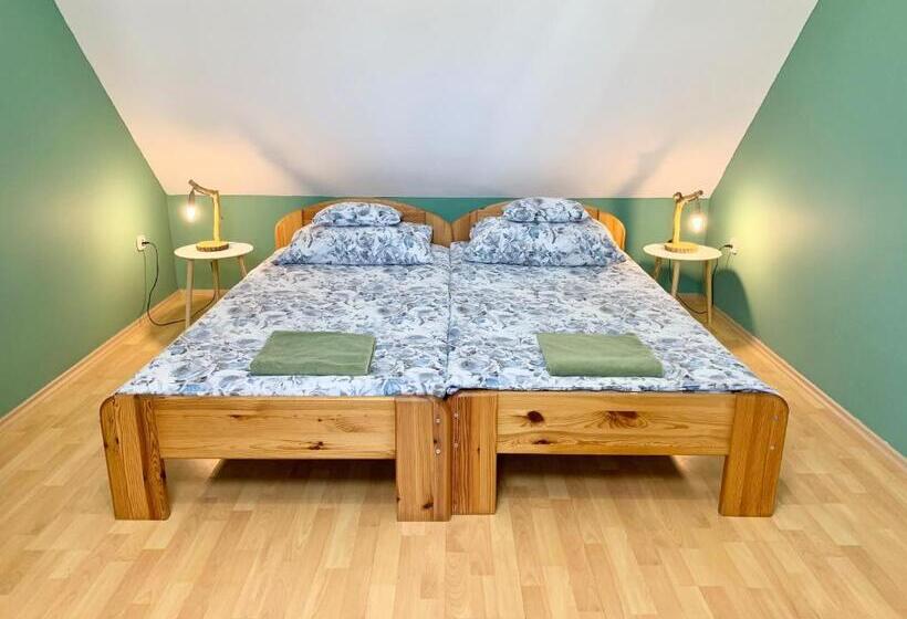 Пансион Vazul Vendégház