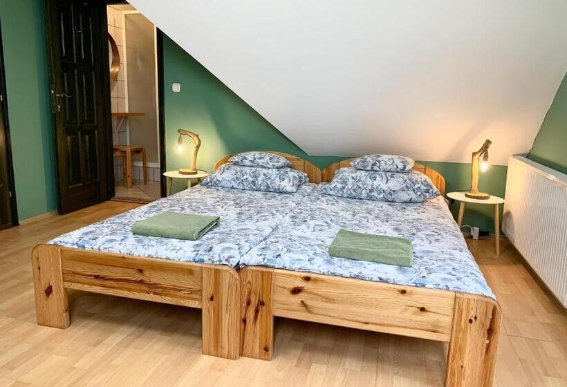 Пансион Vazul Vendégház