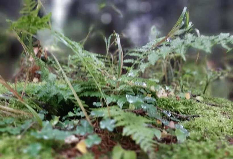 Pension & Fewo's Talblick