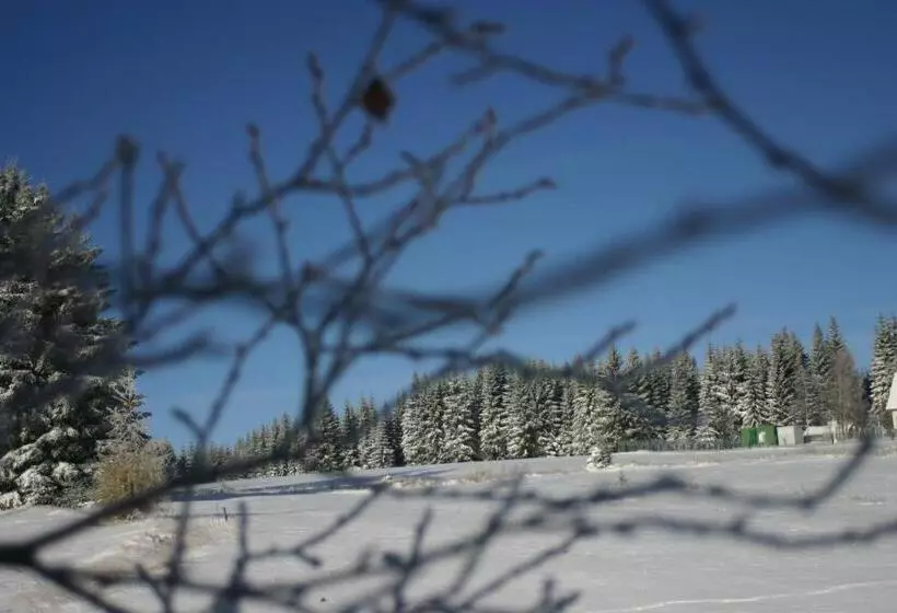 Pension & Fewo's Talblick