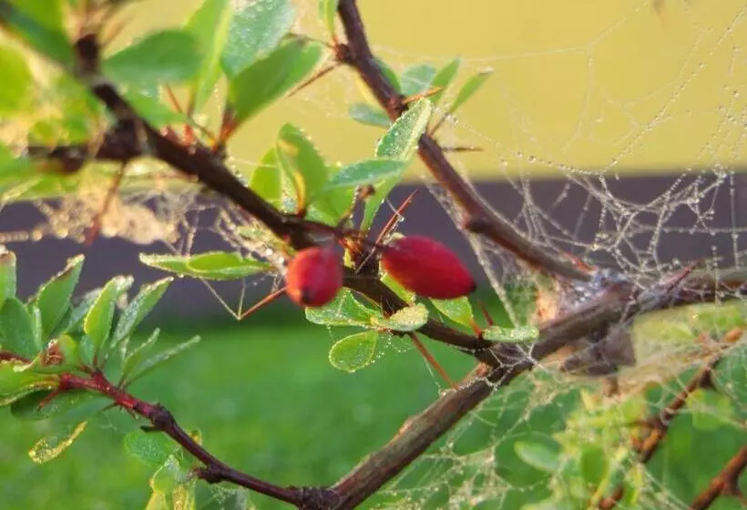 Pension & Fewo's Talblick