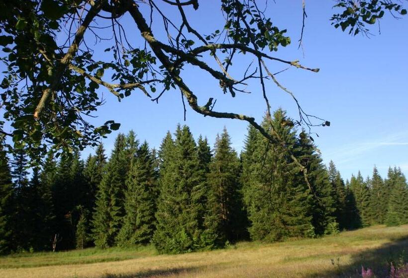 Pension & Fewo's Talblick