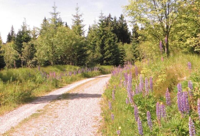 Pension & Fewo's Talblick