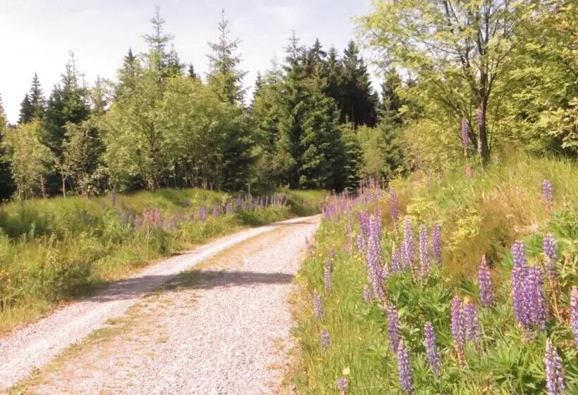 Pension & Fewo's Talblick