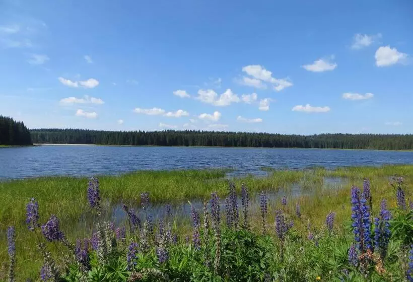 Pension & Fewo's Talblick