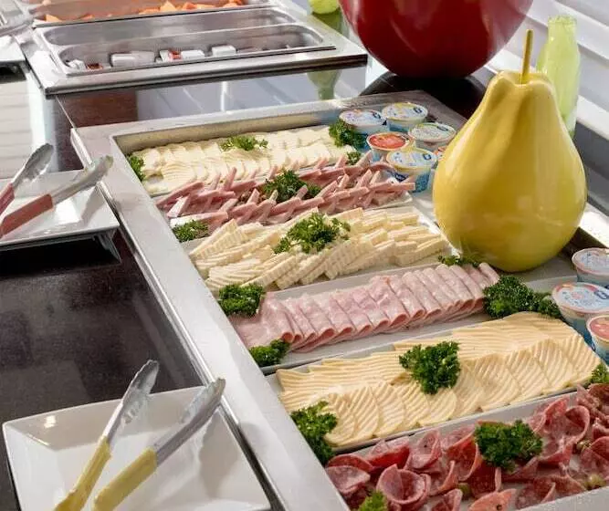 هتل Hodelpa Centro Plaza