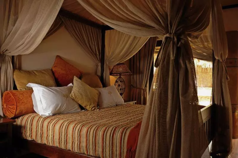 호텔 Ivory Tree Game Lodge