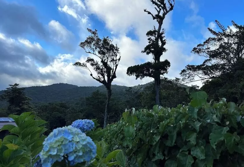 ホテル Trapp Family Lodge Monteverde