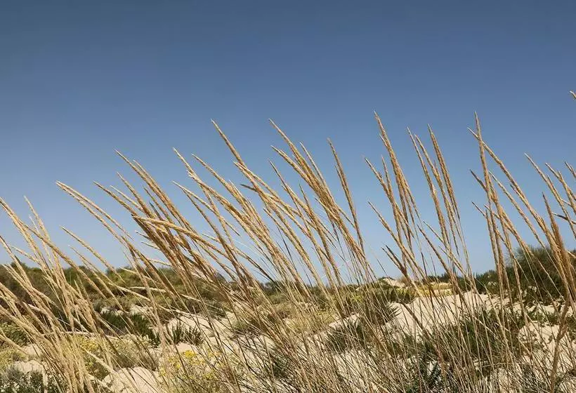 Precise Resort El Rompido-The Club