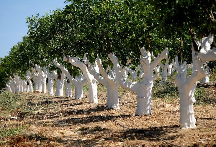 Resort Octant Vila Monte