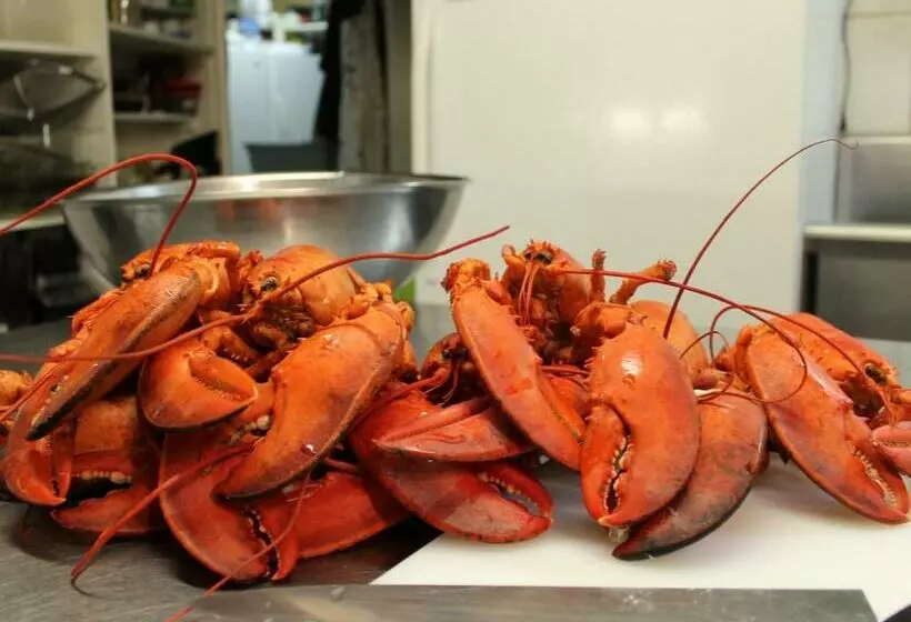 Retkeilymaja Seawind Landing Country Inn