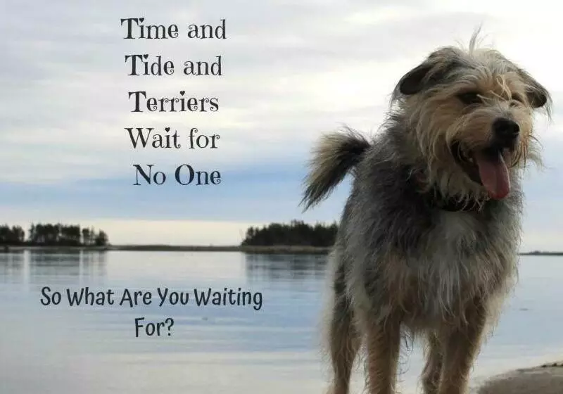 Retkeilymaja Seawind Landing Country Inn