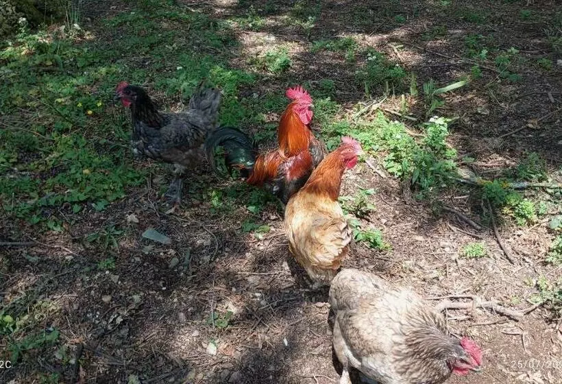 ベッドアンドブレックファースト Chambre D Hôtes Saint Jacob Relais De Chasse Du Xviii Siècle