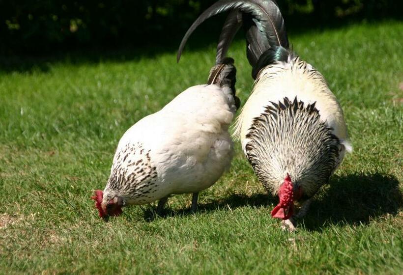 Bed and Breakfast Huisje Wevers