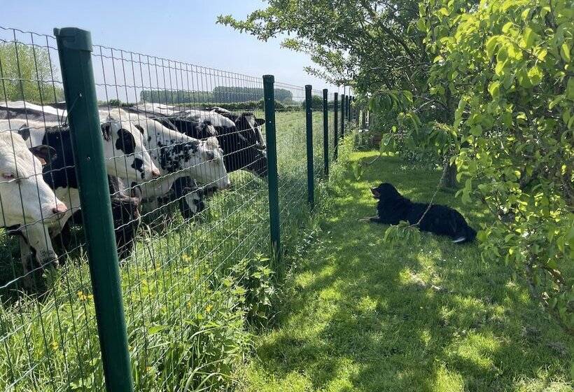 Bed and Breakfast La Ferme Du Paradis
