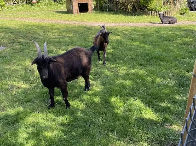 Aamiaismajoitus (B&B) La Ferme Du Paradis