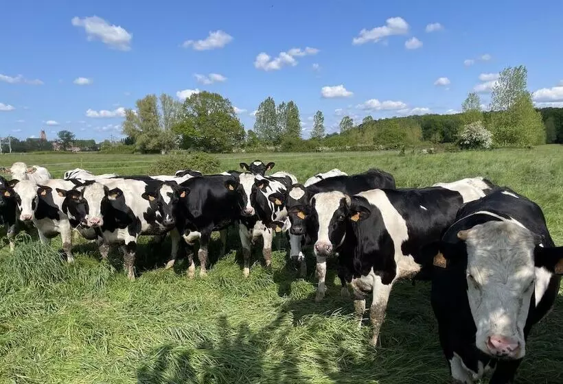 Aamiaismajoitus (B&B) La Ferme Du Paradis