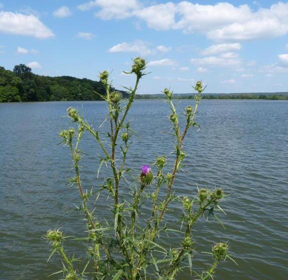 צימר Tó Panzió őrség Bajànsenye