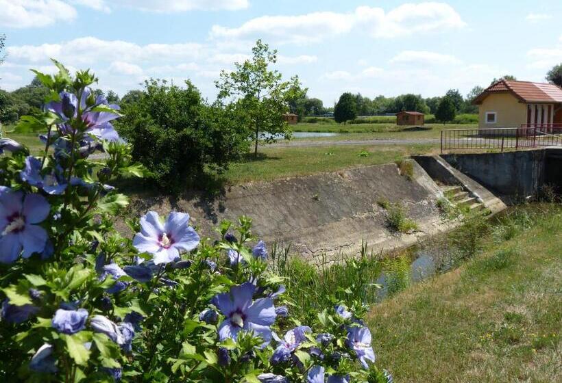 צימר Tó Panzió őrség Bajànsenye