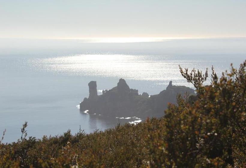 Eagle's Roost Farmstay B&b