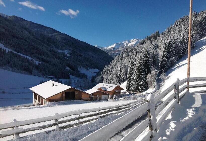 Отель Biohof Hamann